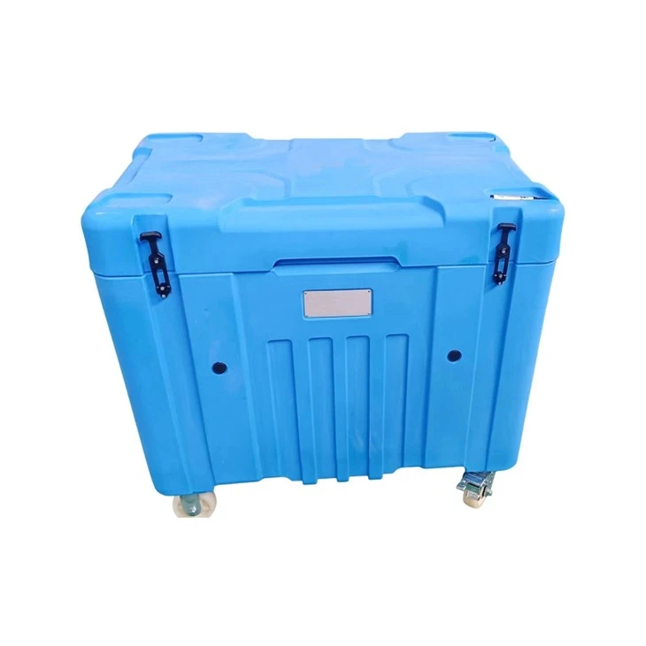 6. Dry Ice Cooler